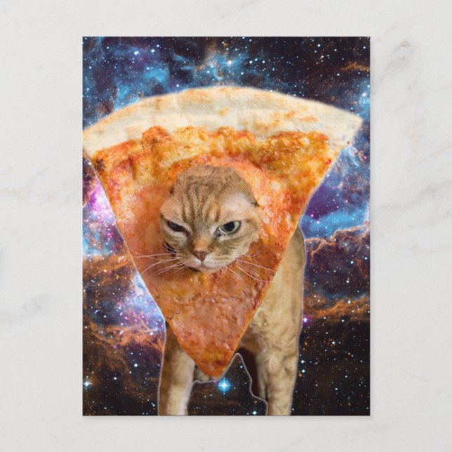 Pizza Cat in Space Wearing Pizza Slice Postcard (Front)