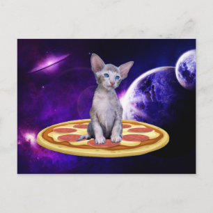 PIZZA CAT POSTCARDS POSTCARD