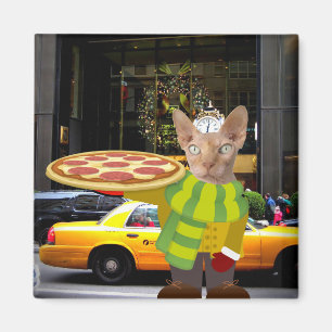 PIZZA DELIVERY CAT NYC MAGNET
