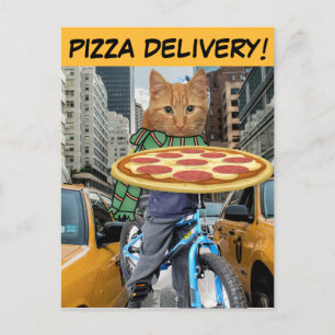 PIZZA DELIVERY! CAT POSTCARDS