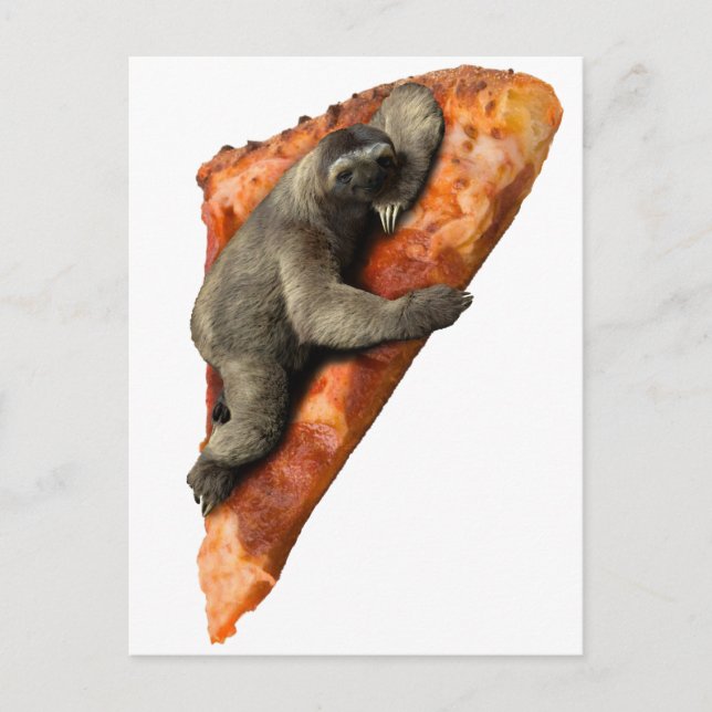 Pizza Sloth Postcard (Front)