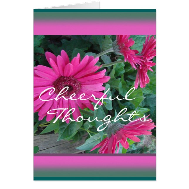 Pk Gerber Daisy Card-customise any occasion (Front)