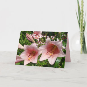 Pk Trumpet Lily #3- customize any occasion Card