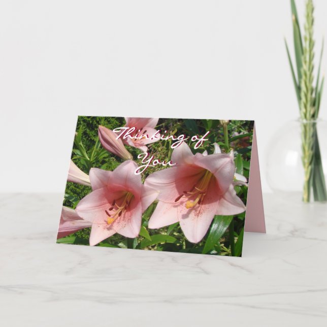 Pk Trumpet Lily #3- customize any occasion Card (Front)