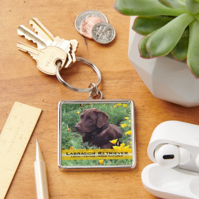 Placeholder Chocolate Lab Custom Photo and Text Key Ring (Desk)
