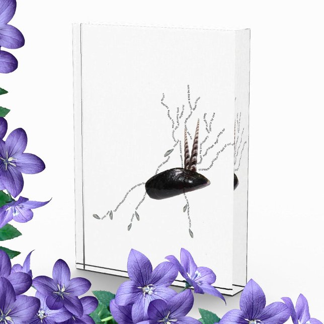 Placenta anatomy health science biology poem art photo block (Creator Uploaded)