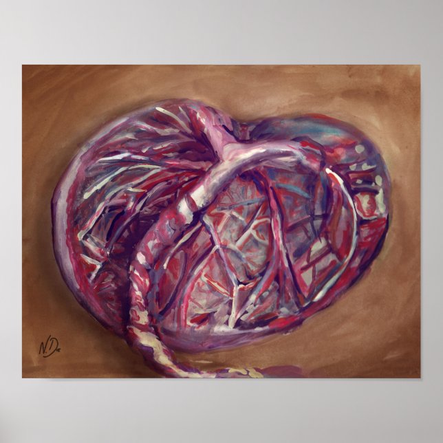 Placenta art poster - midwife office, doulas (Front)