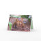 Placerias - Dinosaur Greeting Card