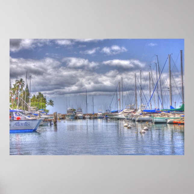Placid Maui Harbour Poster (Front)