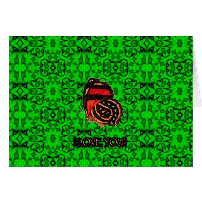 PLAD37-027 (Front Horizontal)