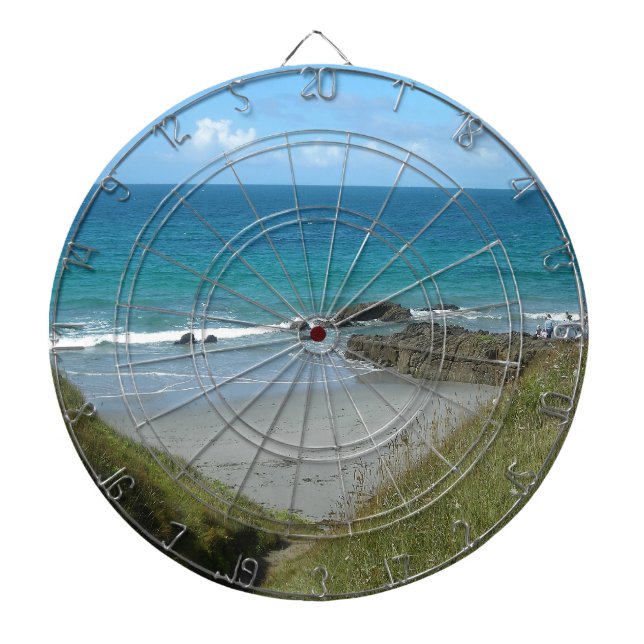 plage dartboard (Front)