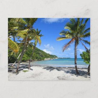 plage de guadeloupe postcard