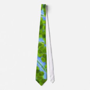 Plagiomnium Affine Plant Cells with Chloroplasts Tie