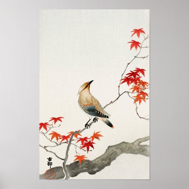 Plague Bird on Maple by Ohara Koson Poster (Front)