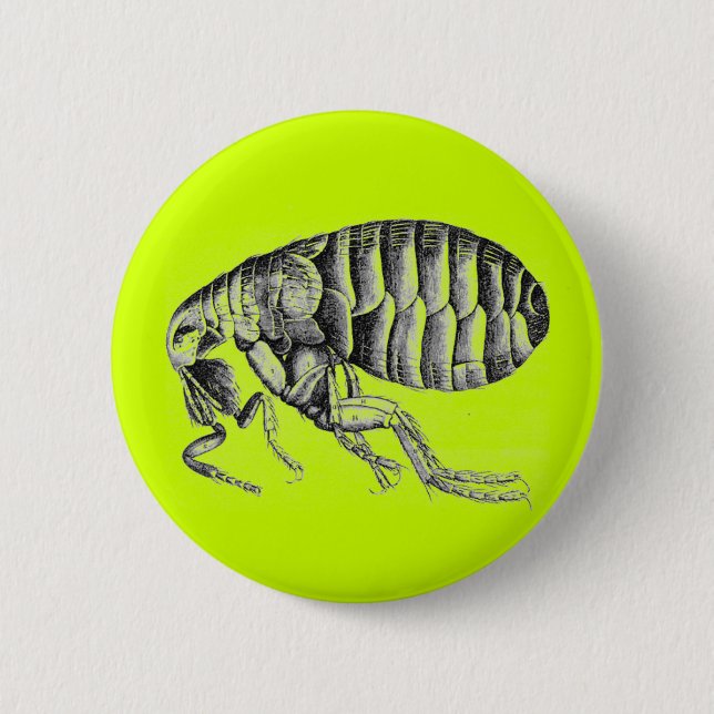 Plague flea 6 cm round badge (Front)
