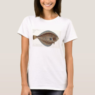 Plaice (Pleuronectes Platessa) plate XLII from 'Ic T-Shirt