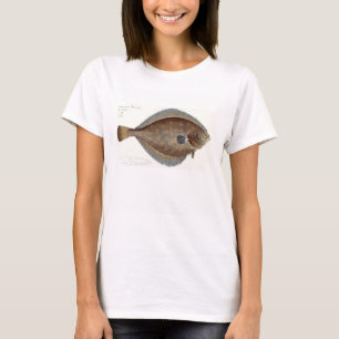 Plaice (Pleuronectes Platessa) plate XLII from 'Ic T-Shirt