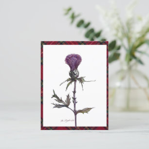 plaid and thistle postcard