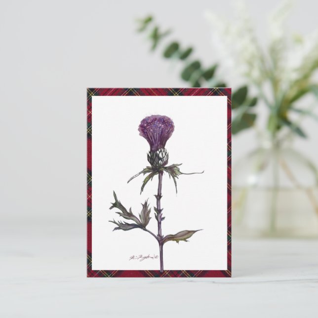 plaid and thistle postcard (Standing Front)