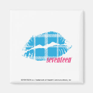 Plaid Aqua Magnet