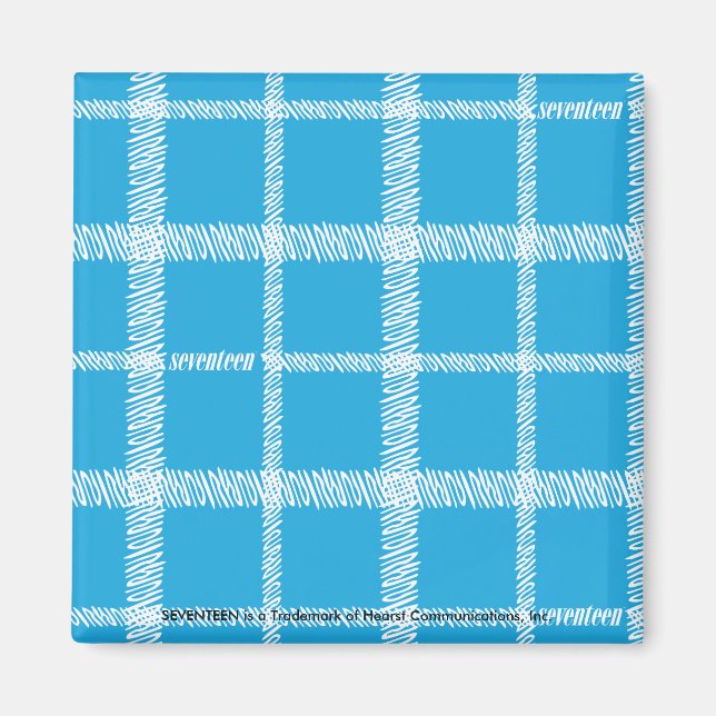Plaid Aqua Magnet (Front)
