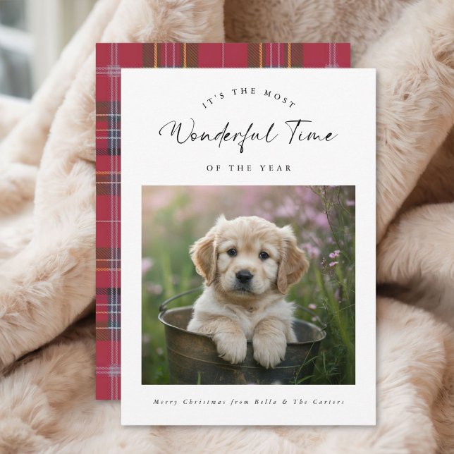 Plaid Funny Dog Lovers Christmas Cards (Creator Uploaded)