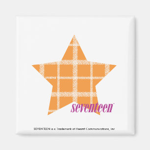 Plaid Orange 2 Magnet