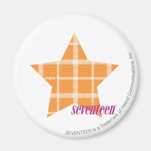 Plaid Orange 2 Magnet