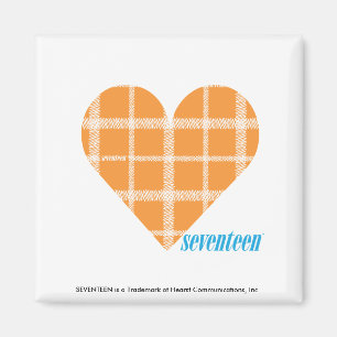 Plaid Orange 4 Magnet