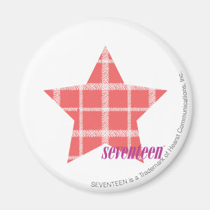 Plaid Pink 3 Magnet
