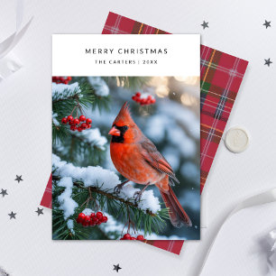 Plaid Red Cardinal Merry Christmas Bird Photo Holi Holiday Card