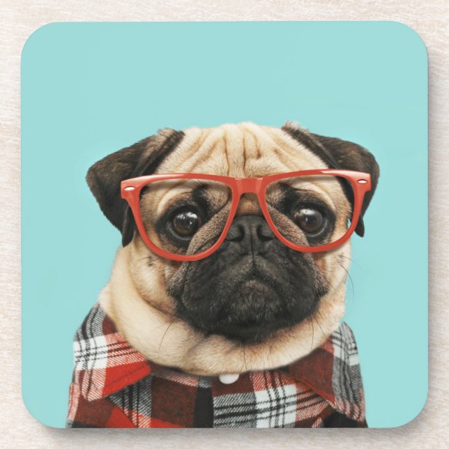 Plaid Shirt Pug Coaster (Front)