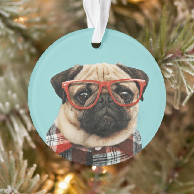 Plaid Shirt Pug Ornament (Tree)