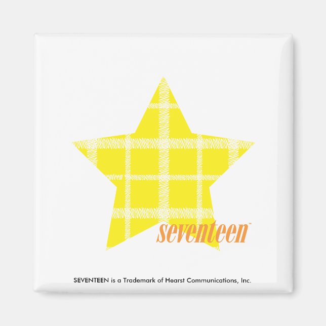 Plaid Yellow 4 Magnet (Front)
