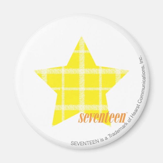 Plaid Yellow 4 Magnet (Front)