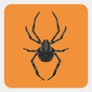 Plain Old Spider Square Sticker