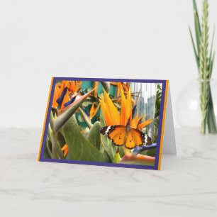 Plain Tiger butterfly Card