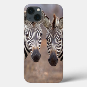 Plain Zebras, Kruger National Park iPhone 13 Case
