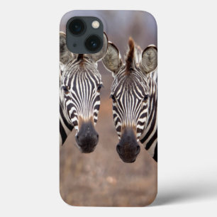 Plain Zebras, Kruger National Park iPhone 13 Case