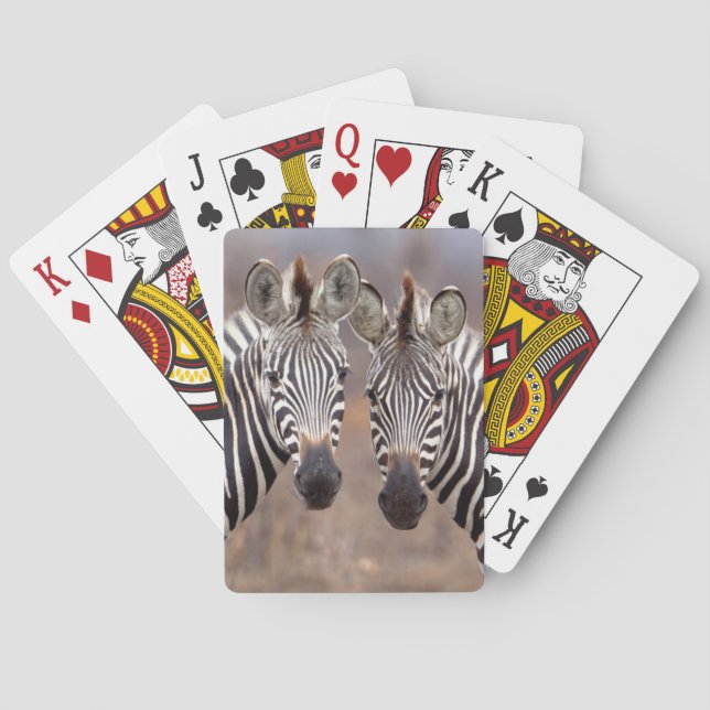 Plain Zebras, Kruger National Park Playing Cards (Back)