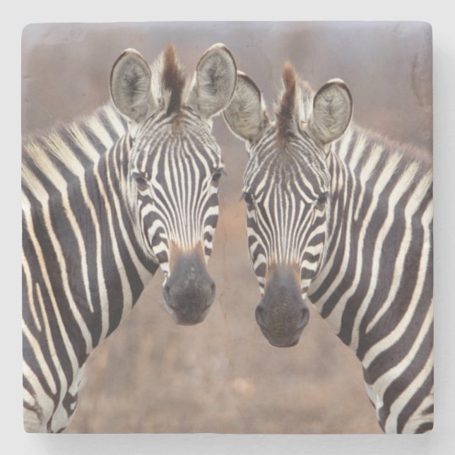 Plain Zebras, Kruger National Park Stone Coaster (Front)