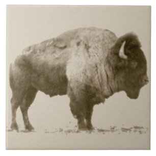 Plains Bison Ceramic Tile