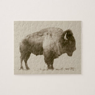 Plains Bison Jigsaw Puzzle