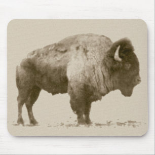 Plains Bison Mouse Pad