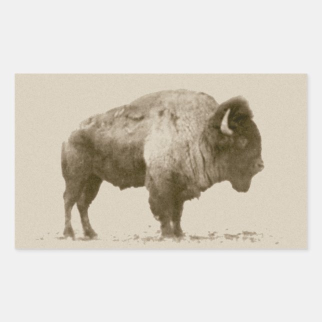 Plains Bison Rectangular Sticker (Front)