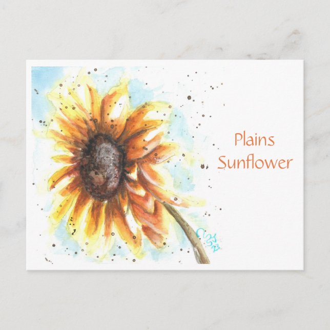 Plains Sunflower Post Card (Front)