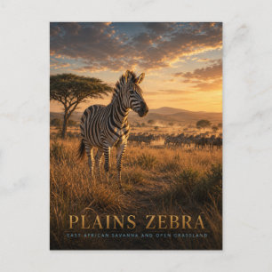 Plains Zebra East African Savanna ANIMALS Postcard