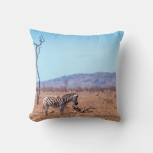Plains zebra in Kruger National park, South Africa Cushion