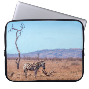 Plains zebra in Kruger National park, South Africa Laptop Sleeve