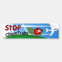 Plane Aerosol Chemtrails Lady Bug Leaf